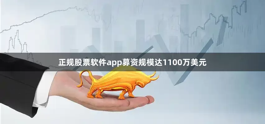 正规股票软件app募资规模达1100万美元