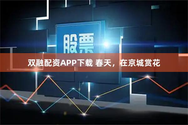 双融配资APP下载 春天，在京城赏花